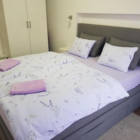 Apartman Luka Novigrad Istria 외부 사진