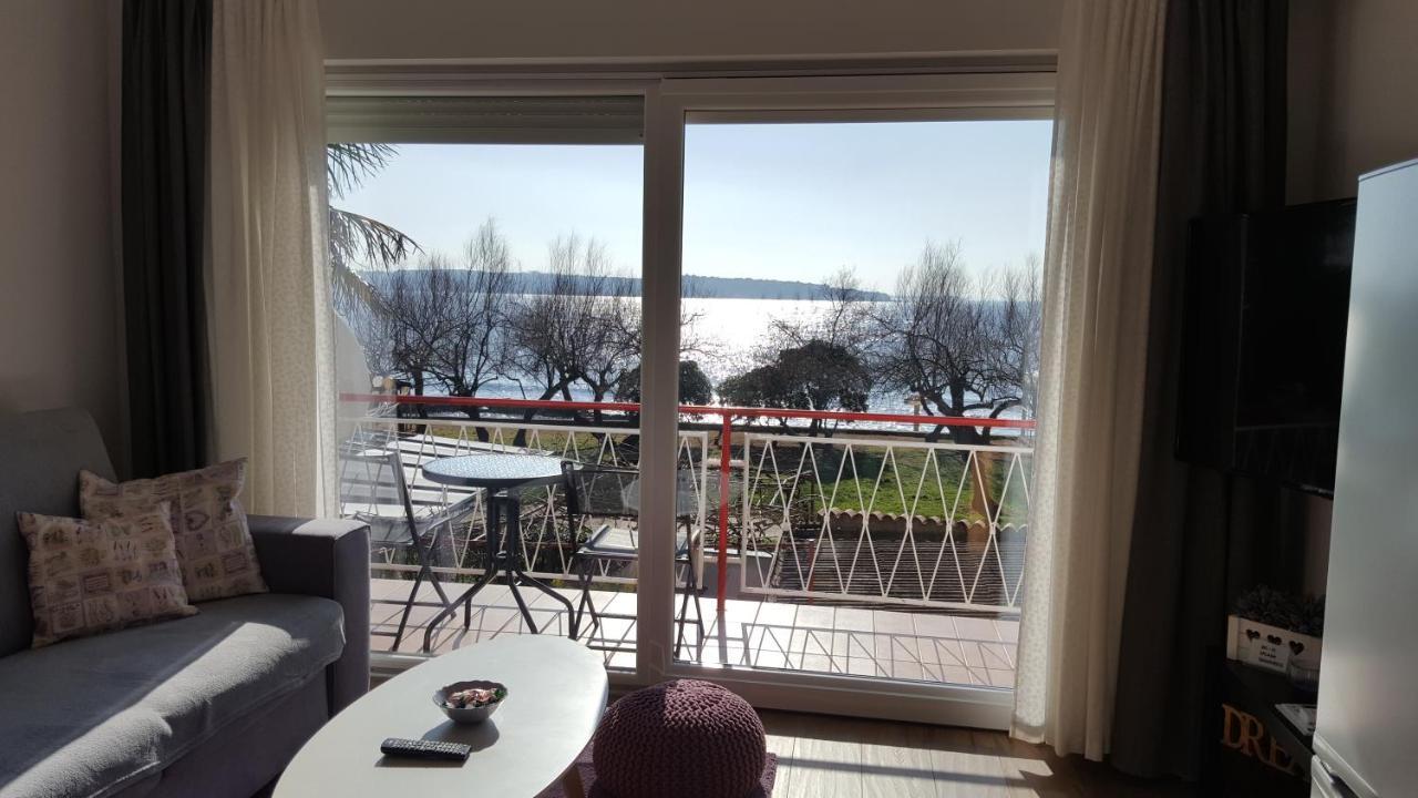 Apartman Luka Novigrad Istria 외부 사진