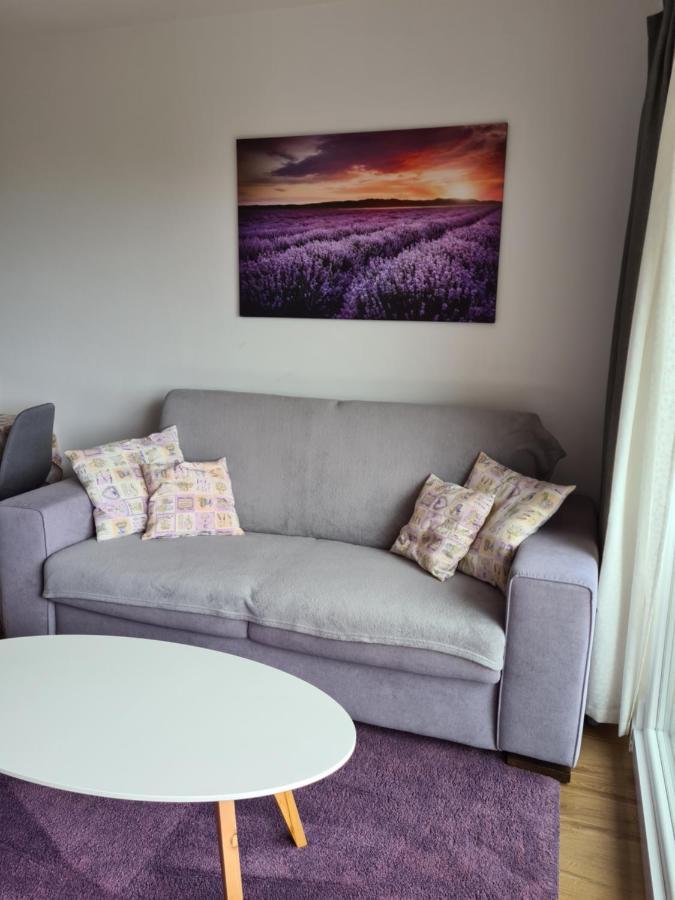 Apartman Luka Novigrad Istria 외부 사진